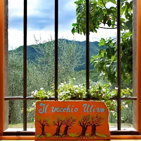 Panzió Il Vecchio Ulivo *