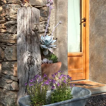 Bed and breakfast Il Vecchio Ulivo