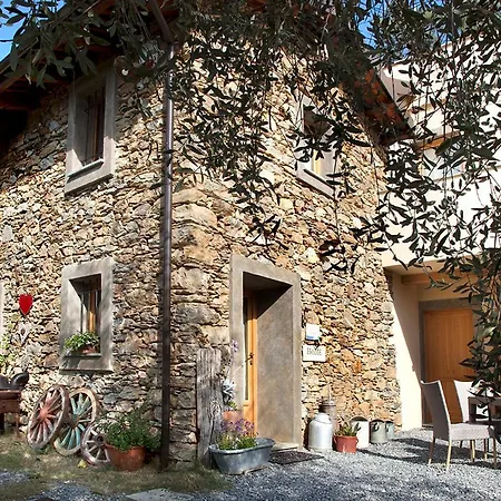 Bed and breakfast Il Vecchio Ulivo