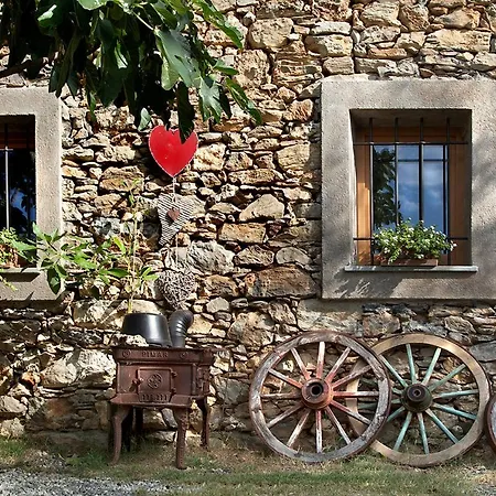 Il Vecchio Ulivo Onzo