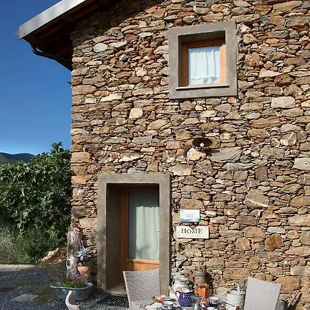 Il Vecchio Ulivo Onzo