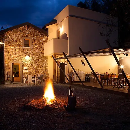 Bed and breakfast Il Vecchio Ulivo