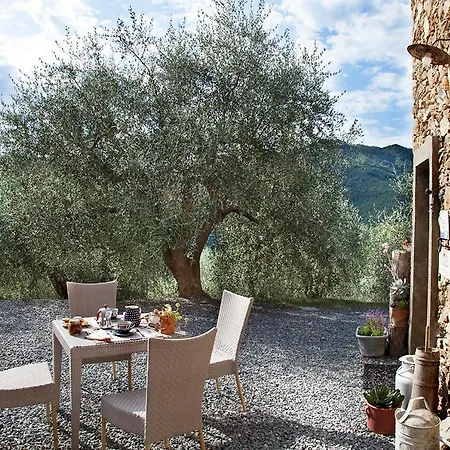 Bed and breakfast Il Vecchio Ulivo Onzo