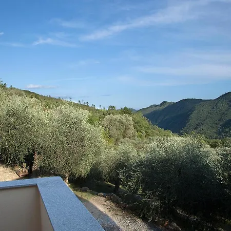 Il Vecchio Ulivo Onzo