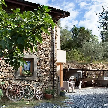 Il Vecchio Ulivo