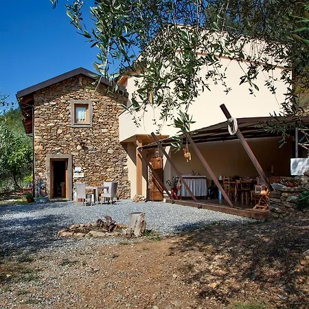 Il Vecchio Ulivo Bed and breakfast *